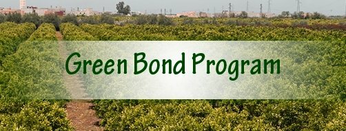 Green-bond